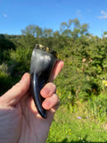 Horn Shot Glasses uk - Bushman Survival