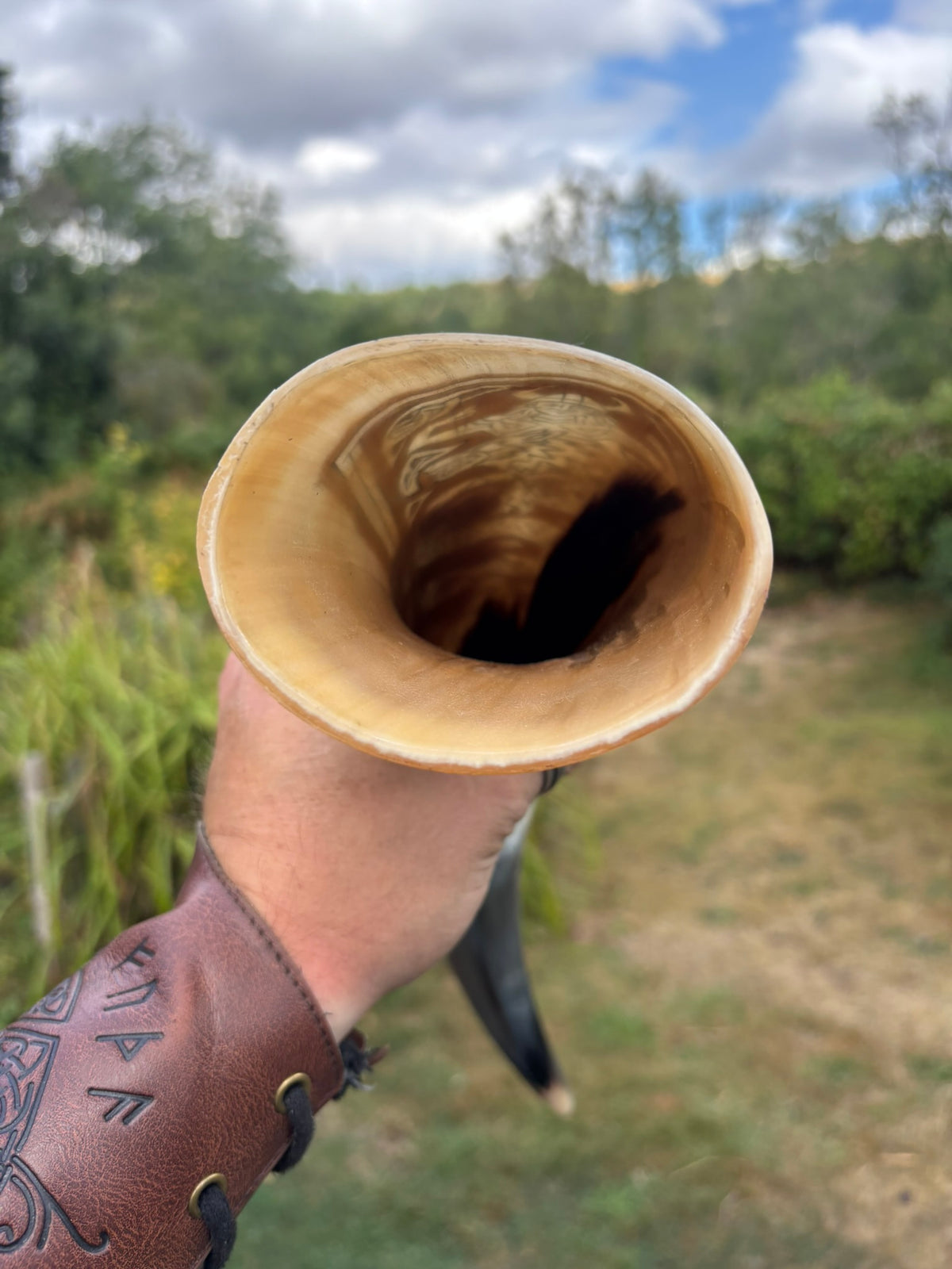 A hand holding the open end of a natural horn instrument, with an outdoor grassy landscape and cloudy sky blurred in the background.