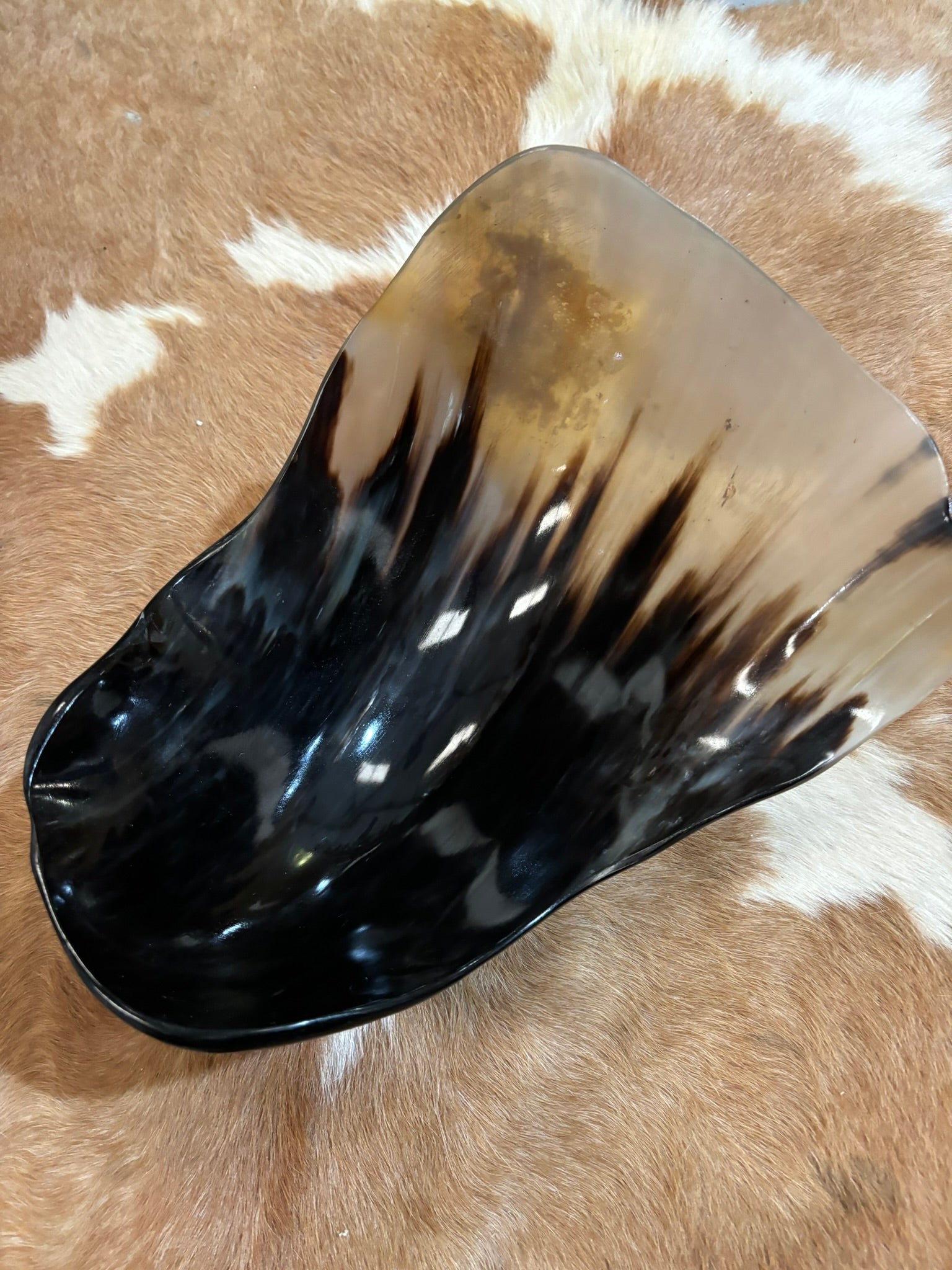 A glossy, horn bowl with a gradient design transitioning from a deep black base to a warm amber-brown top, displayed on a brown and white cowhide rug.