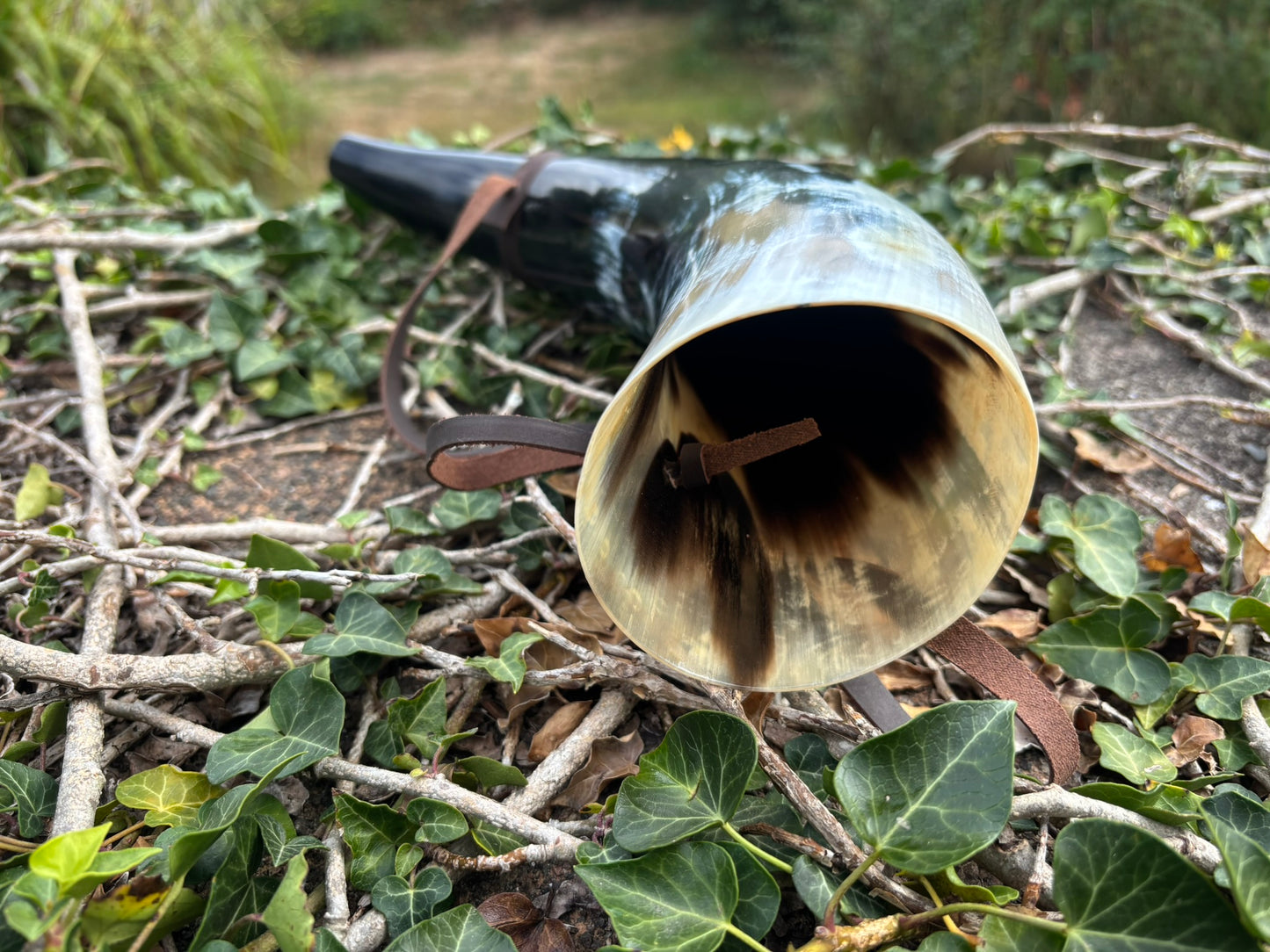 Viking Blowing Horn — Plain Ox Horn