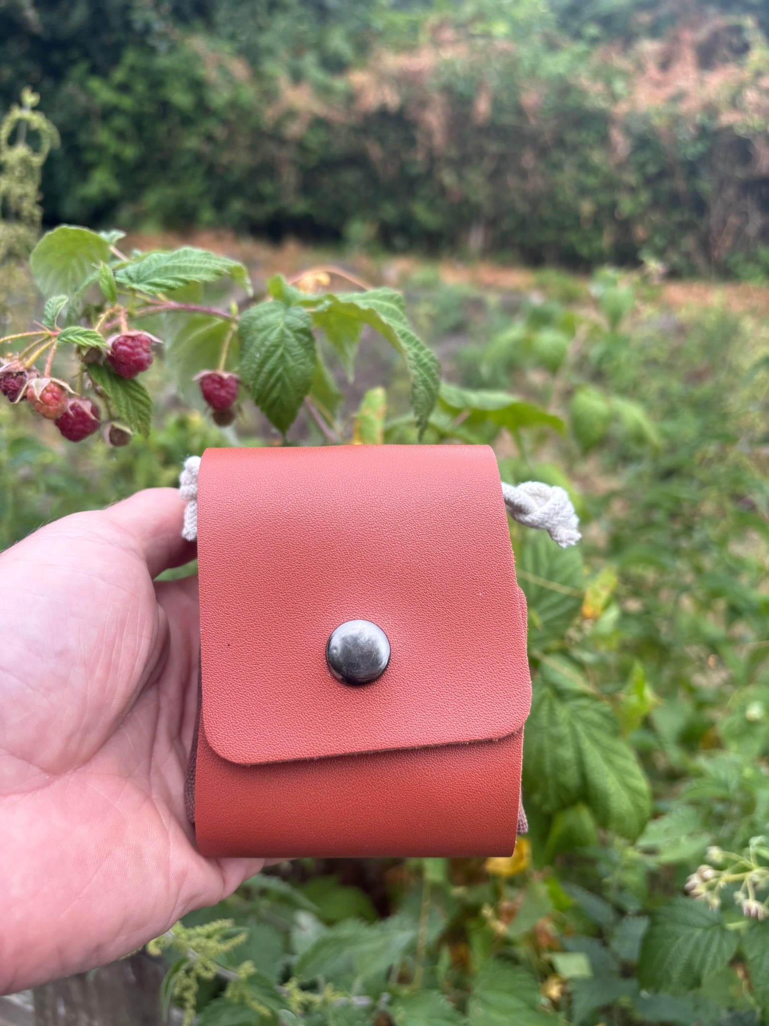 A hand holding a small reddish-brown leather pouch with a silver snap button, set against a blurred outdoor background of green leaves and red berries.