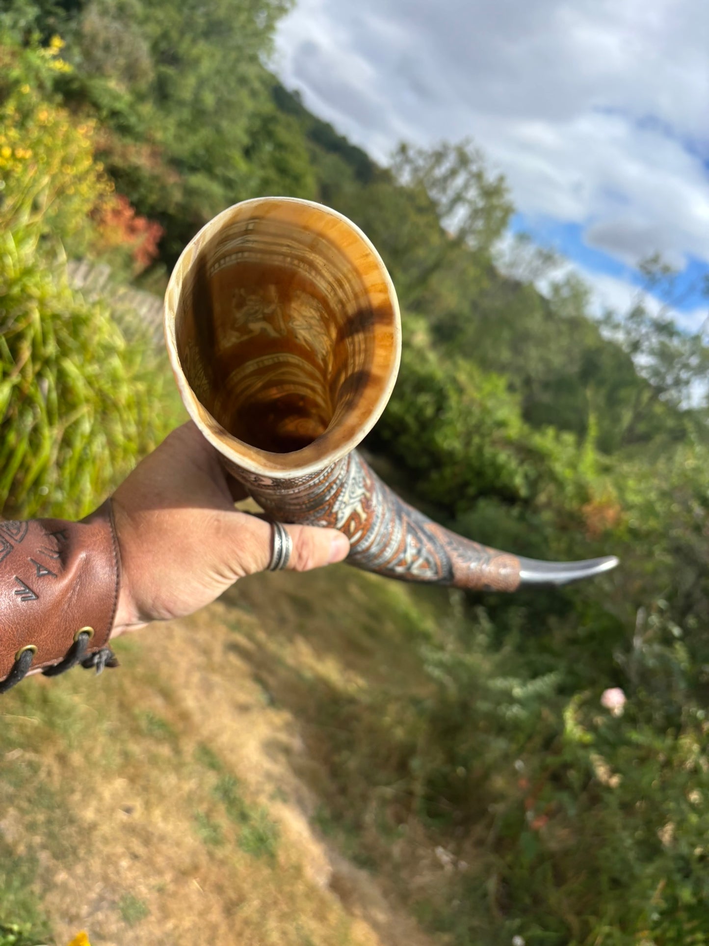 A hand holding a carved horn or horn-like vessel outdoors, with a grassy hillside and cloudy sky in the background.