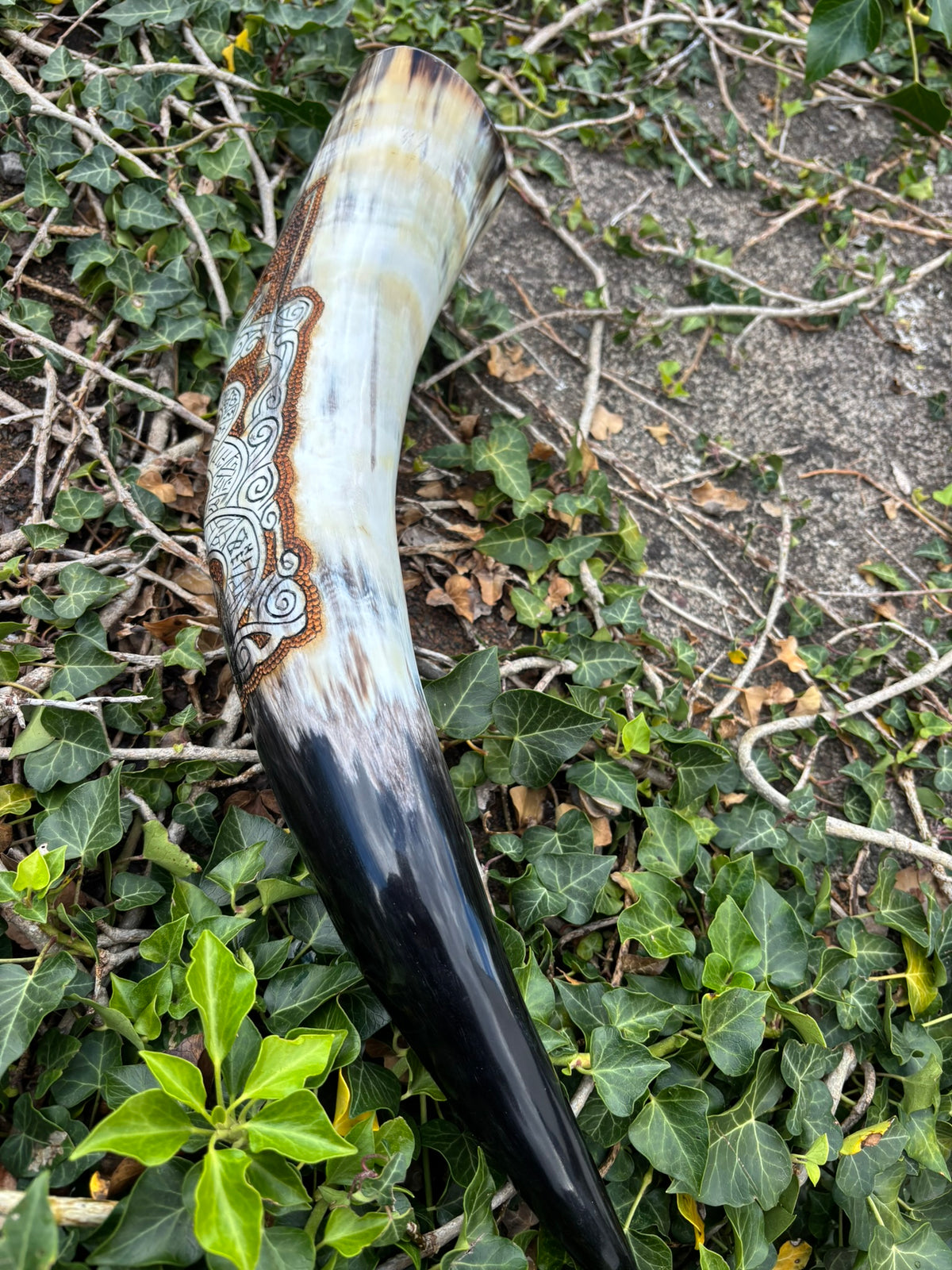 A natural horn or -style decorative object with a dark black lower section, creamy white upper section, and brown engraved scrollwork, photographed outdoors on ivy and branches. Thor Fishing for Jormungandr Viking Drinking Horn