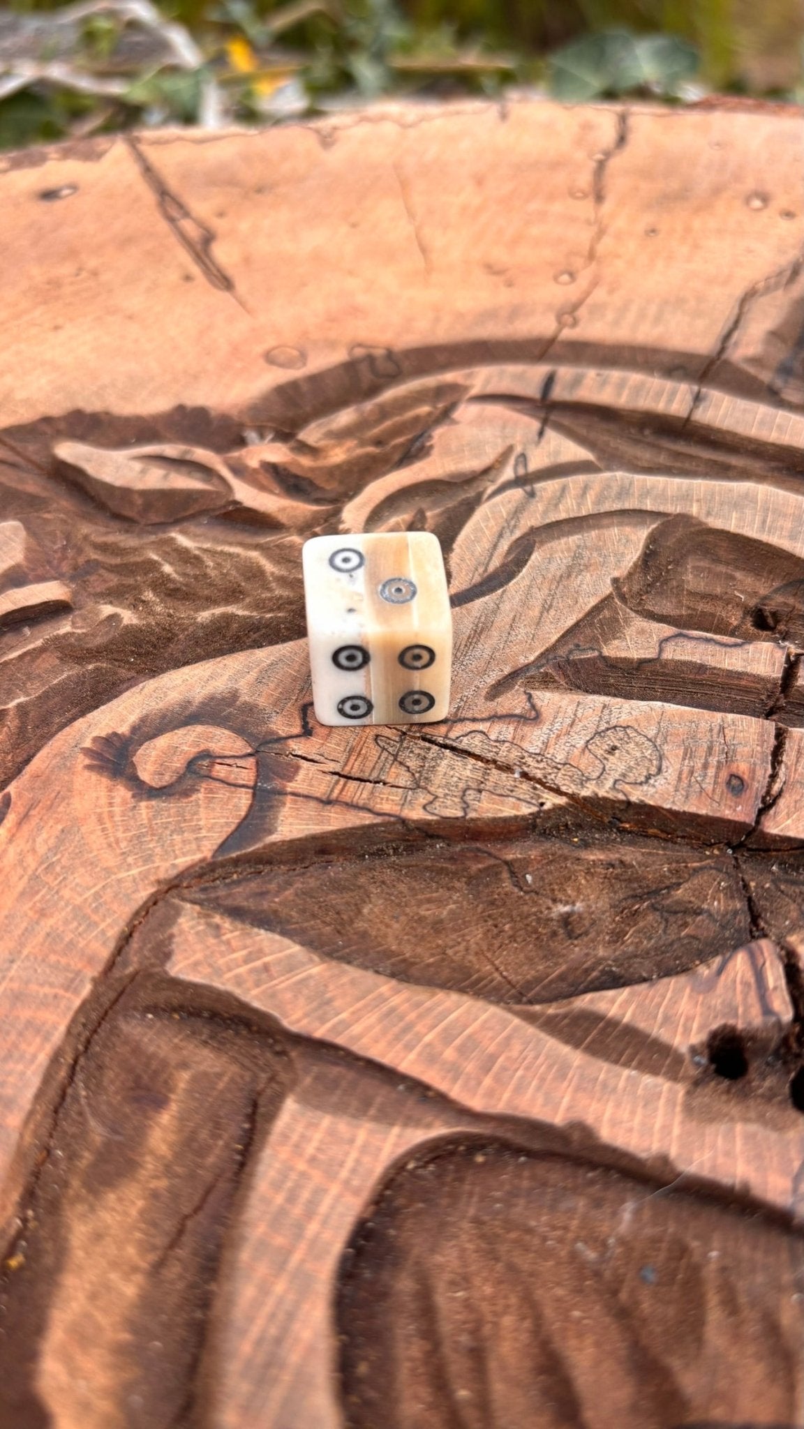 Bone Dice — Viking Ring and Dot Design, Hand-Carved - Bushman Survival