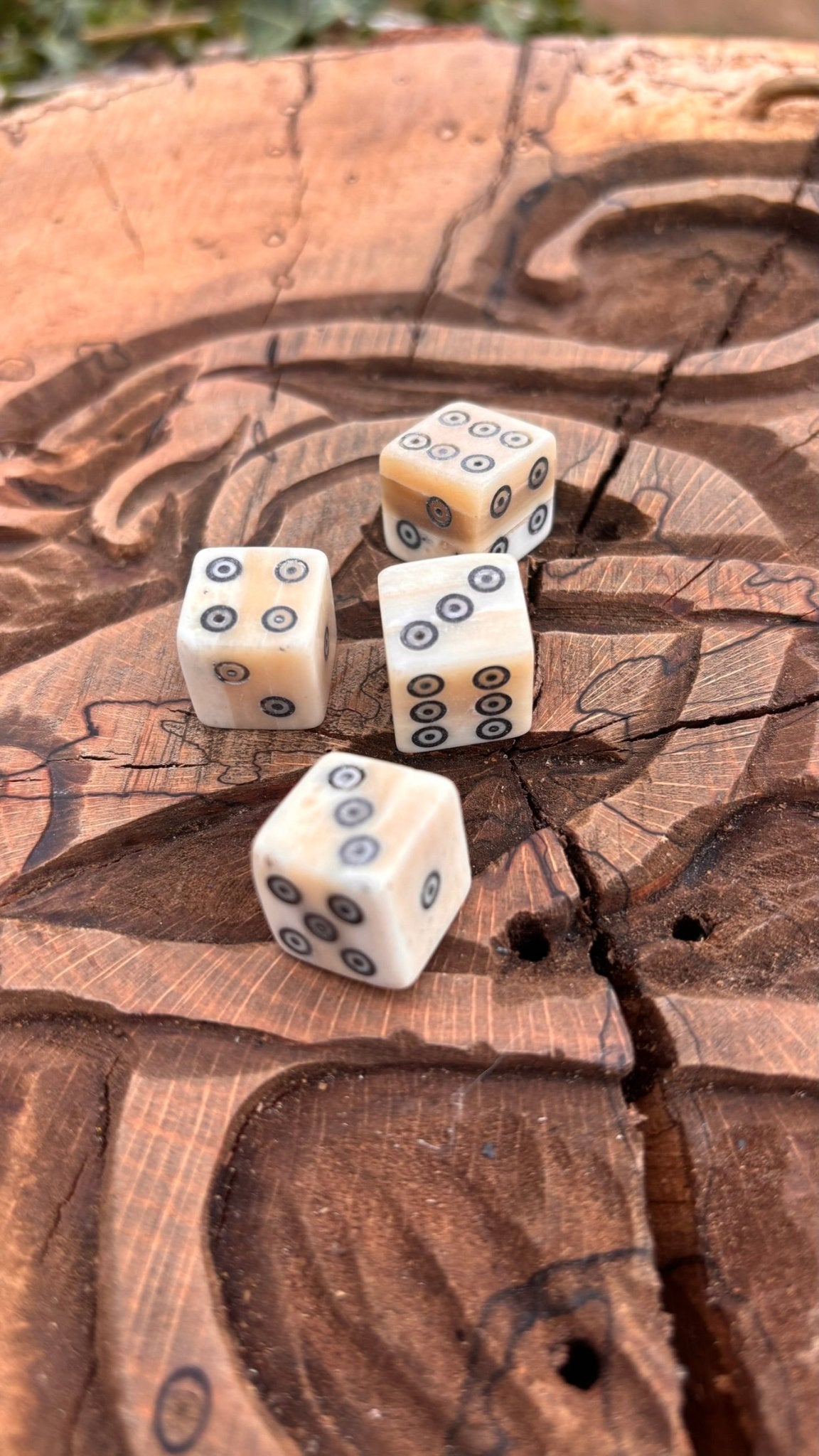 Bone Dice — Viking Ring and Dot Design, Hand-Carved - Bushman Survival