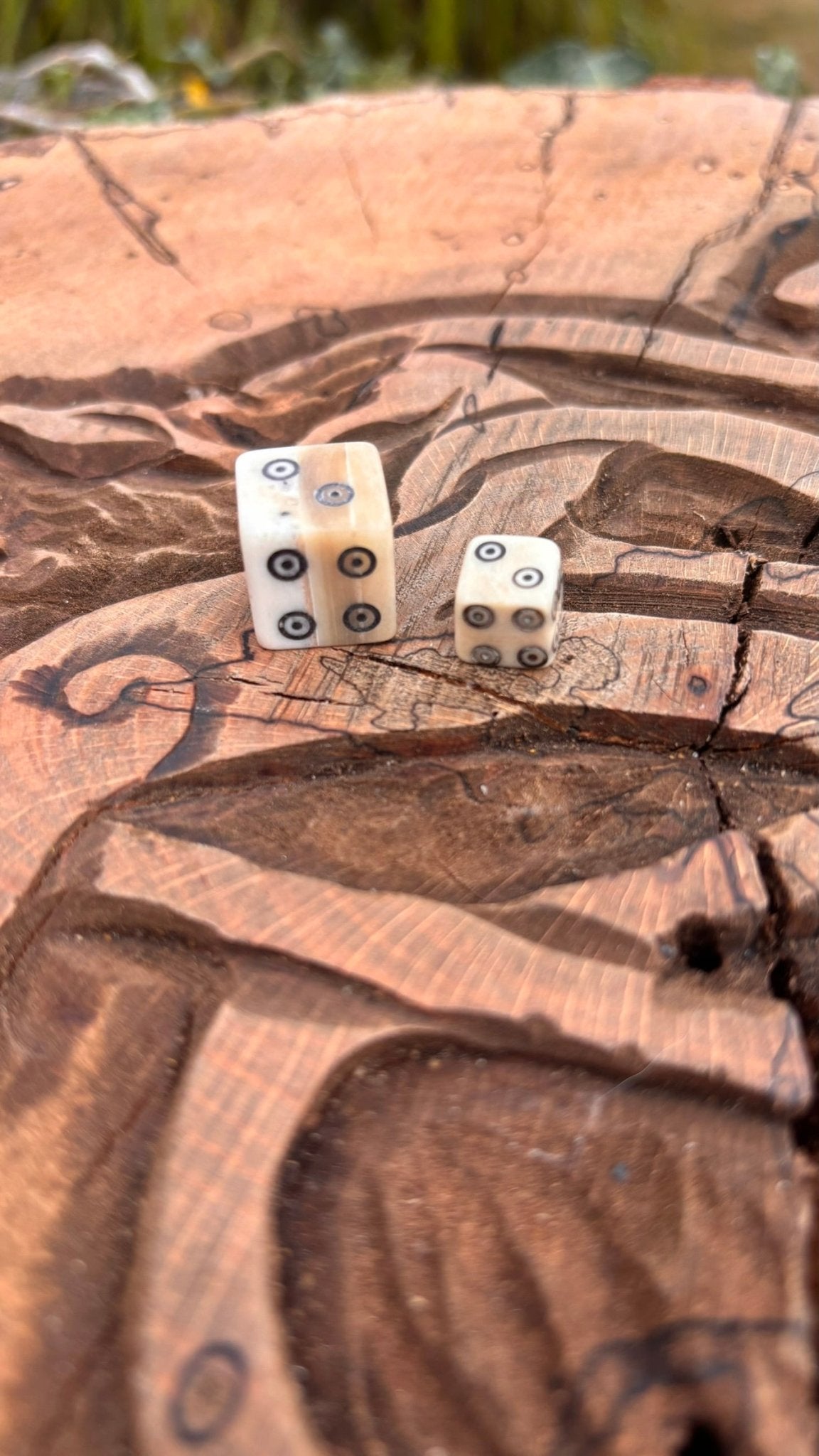 Bone Dice — Viking Ring and Dot Design, Hand-Carved - Bushman Survival