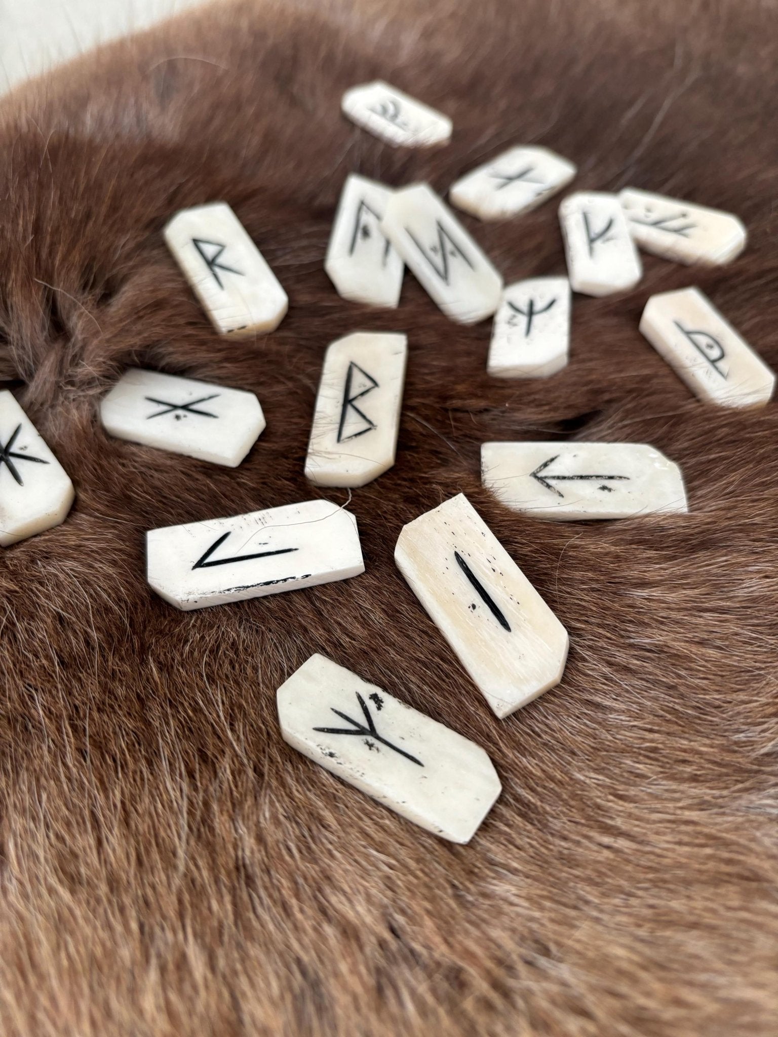 Bone Rune Sets - Elder or Younger Futhark - Bushman Survival