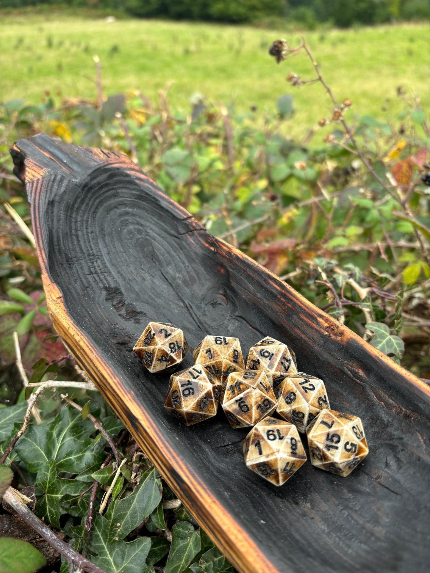 D20 Bone Dice — Real Bone, Not Resin - Bushman Survival