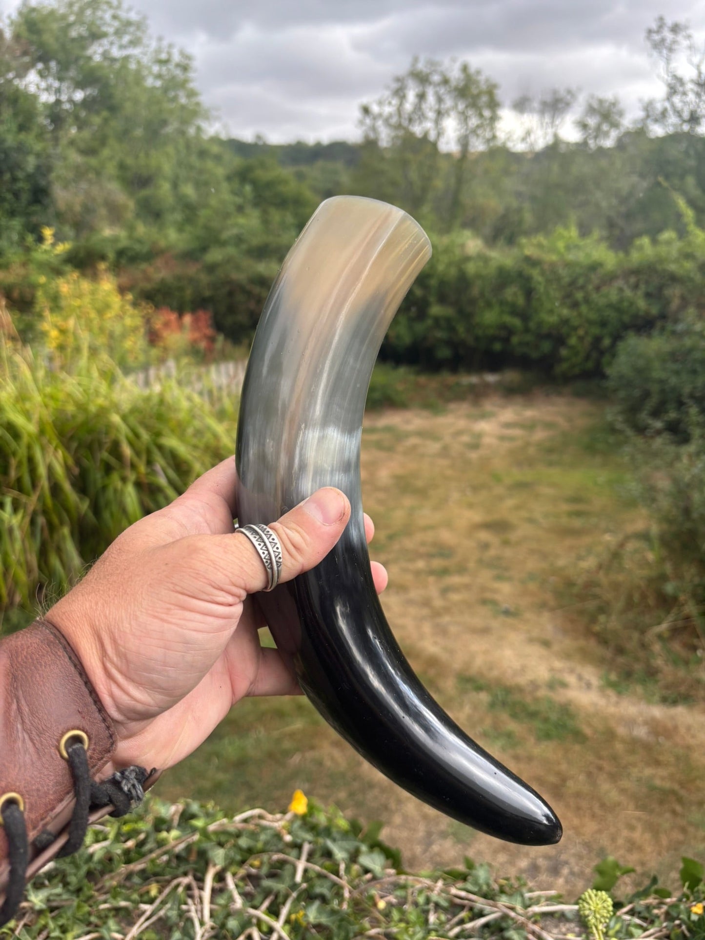 Drinking Horn — Plain Horn, Authentic & Functional - Bushman Survival