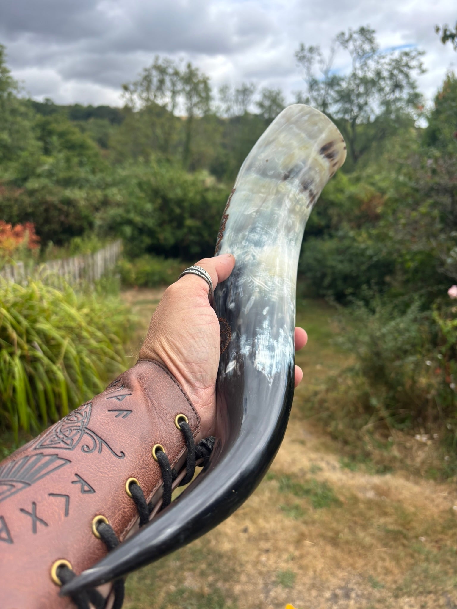Drinking Horn — Plain Horn, Authentic & Functional - Bushman Survival