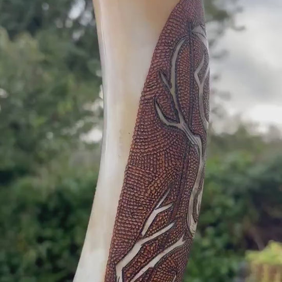 Viking Drinking Horn, With Odins Ravens