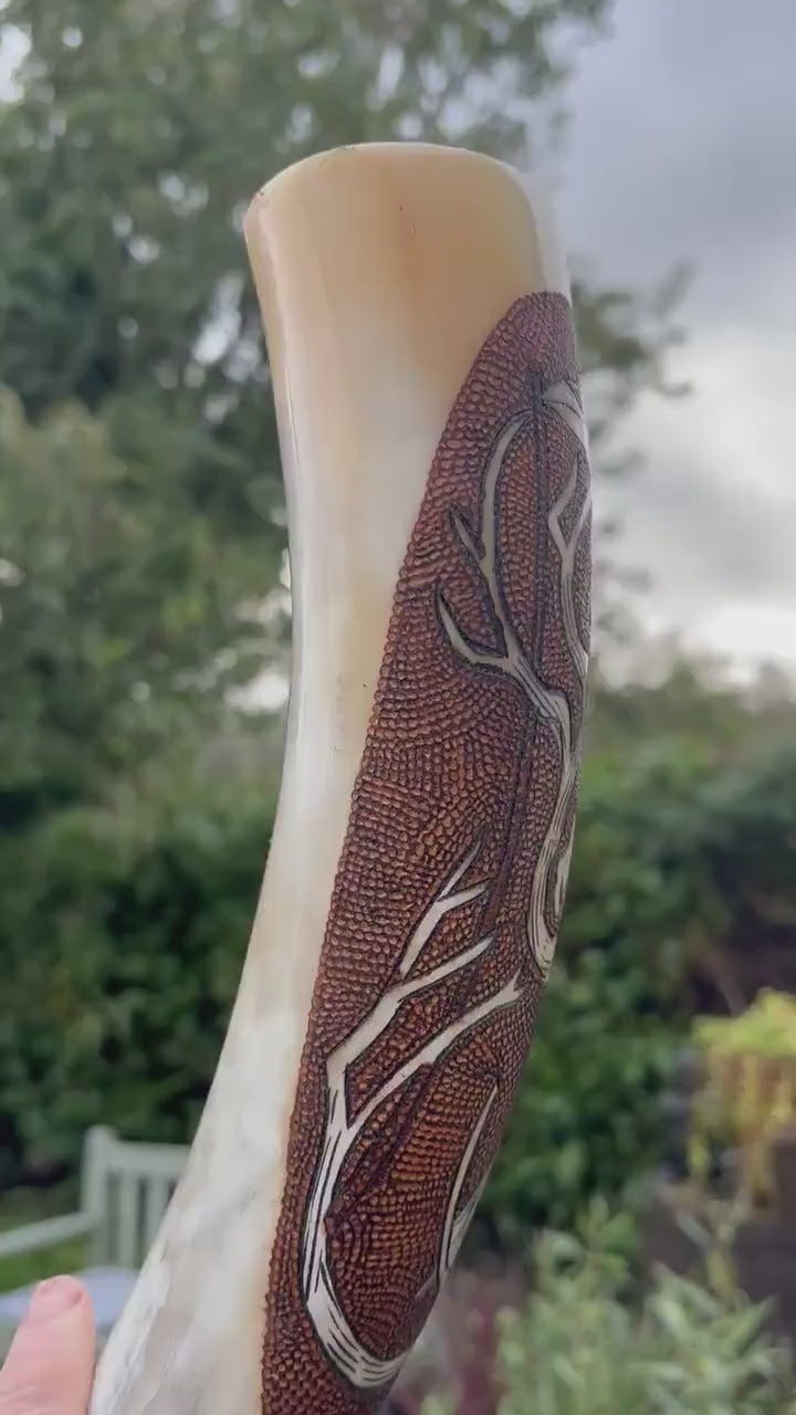 Viking Drinking Horn, With Odins Ravens