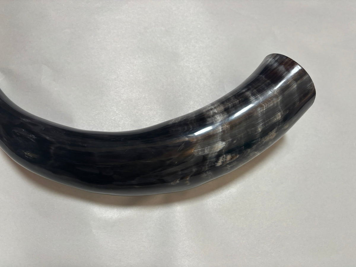 Viking Blowing Horn — Plain Ox Horn - Bushman Survival