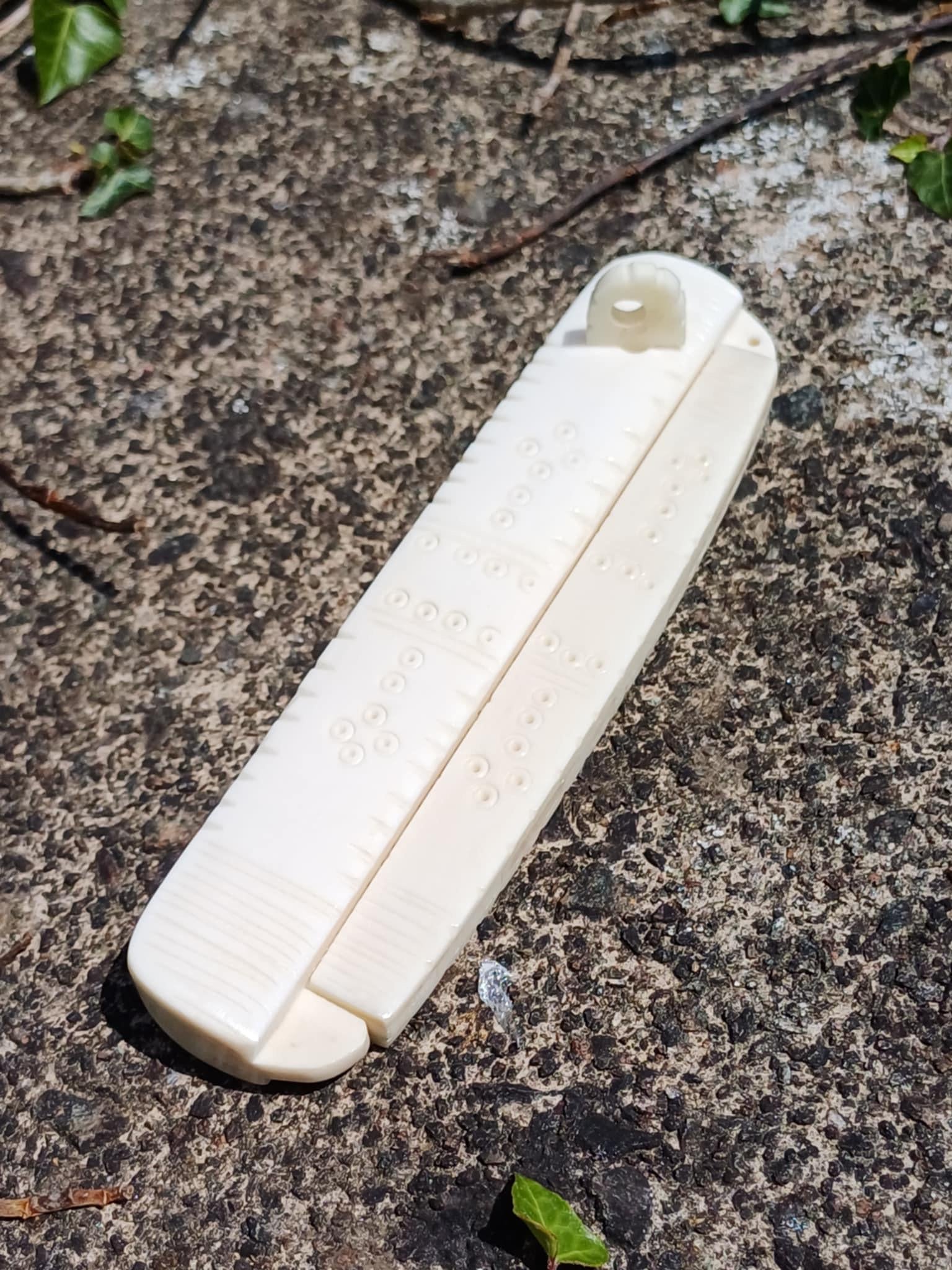 Viking Bone Comb, with cover - Bushman Survival