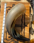Large Viking Drinking Horn, Mead Horn - Bushman Survival