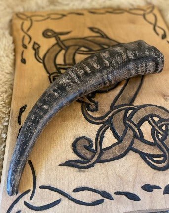 Buffalo Drinking Horn - Viking Drinking Horn - Bushman Survival