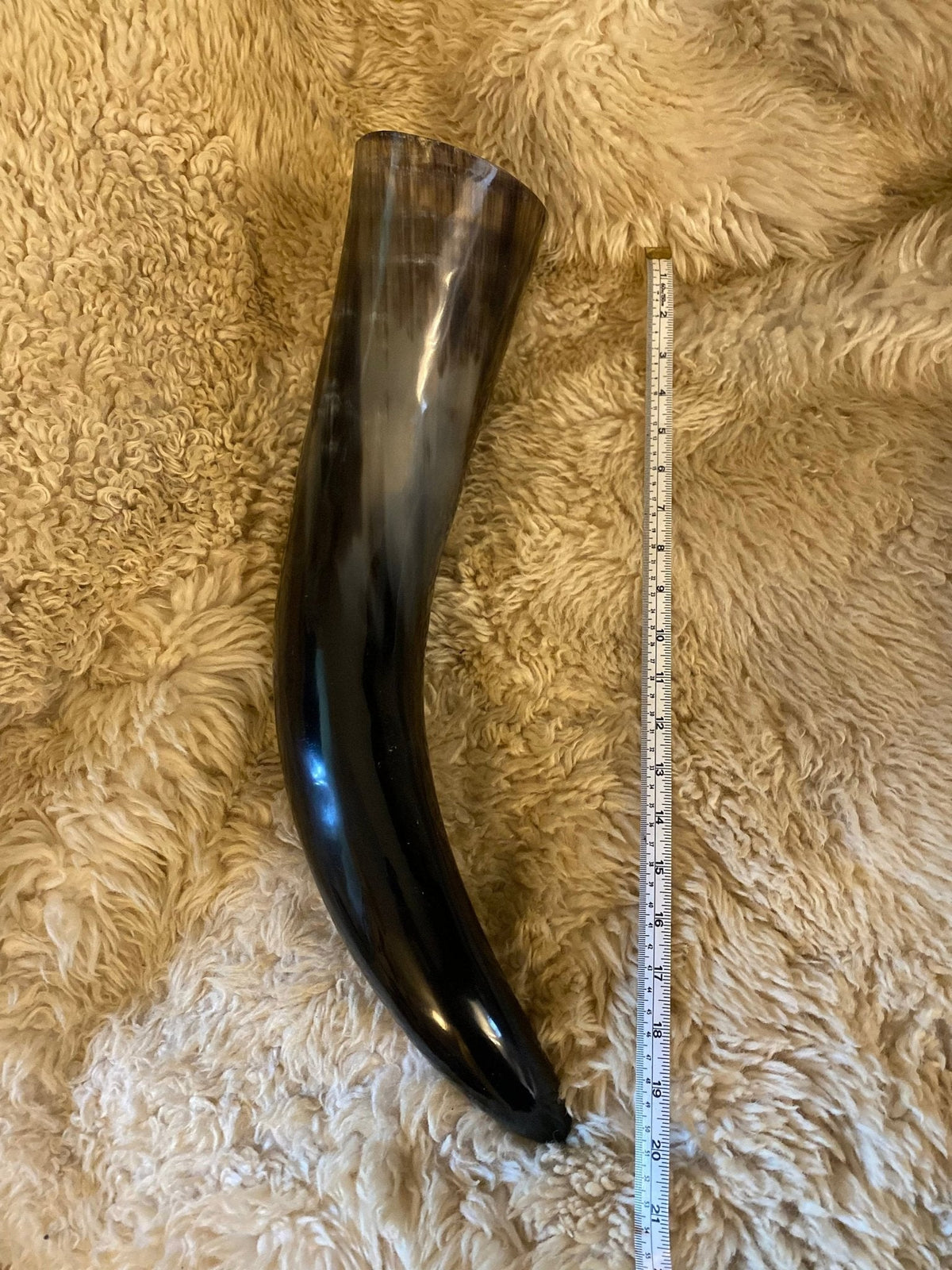 Huge Viking Drinking Horn — 2+ Litre Ox Horn - Bushman Survival