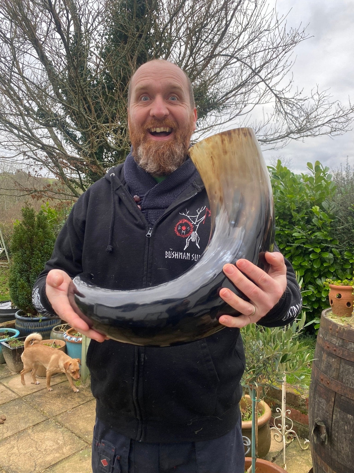 Huge Viking Drinking Horn — 2+ Litre Ox Horn - Bushman Survival
