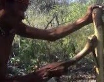 Kalahari Bush Axe - Bushman Survival, an original in use in the Kalahari